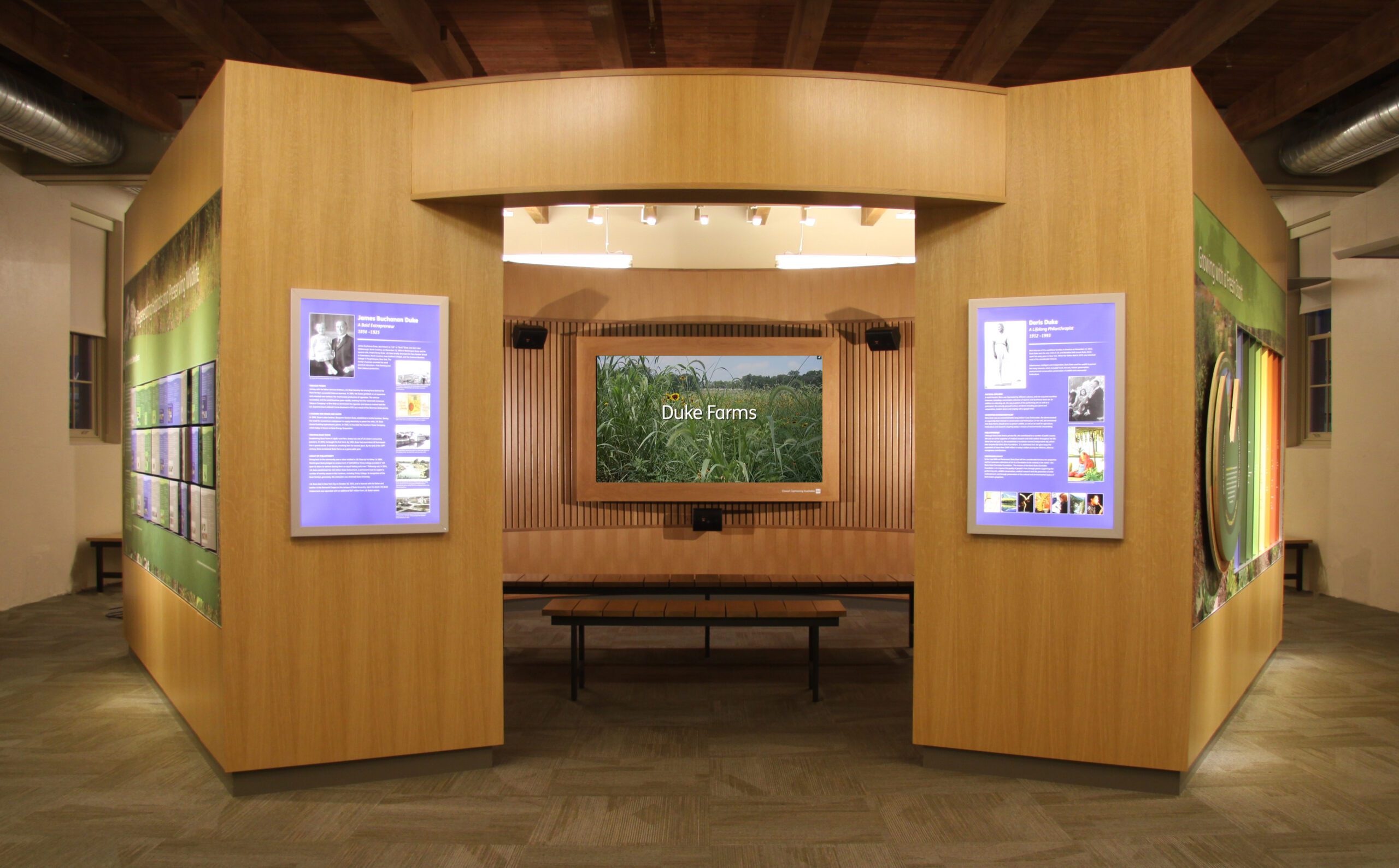 00 DF - THEATER W SCREEN