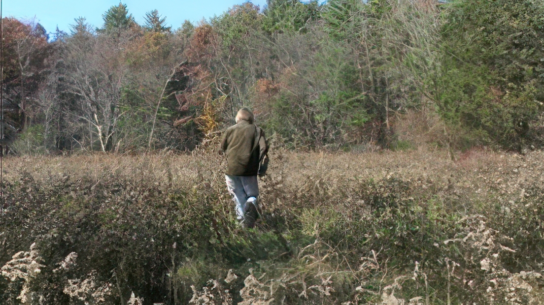 Following Gillian-gigapixel-standard v2-4x